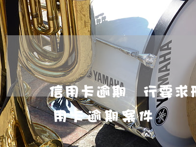 信用卡逾期銀行要求刑事立案(公安局受理信用卡逾期案件嗎)