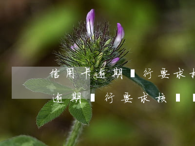信用卡逾期銀行要求核實個人信息-信用卡逾期銀行要求核實個人信息是真的嗎