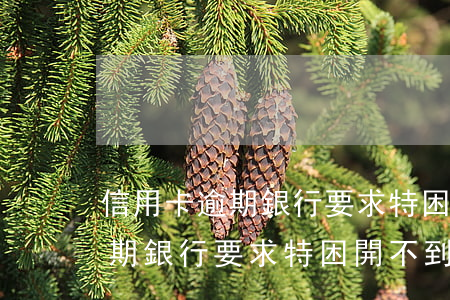 信用卡逾期銀行要求特困開不到-信用卡逾期銀行要求特困開不到卡