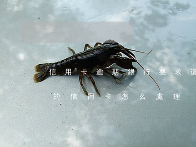 信用卡逾期銀行要求還全款怎么辦(逾期還清的信用卡怎么處理)