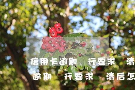 信用卡逾期銀行要求還清后怎么辦-信用卡逾期銀行要求還清后怎么辦理