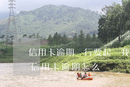 信用卡逾期銀行要起訴我了(銀行去法院起訴信用卡逾期怎么辦)