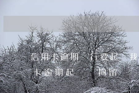 信用卡逾期銀行要起訴我會坐牢么-欠信用卡逾期起訴會拘留嗎