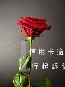信用卡逾期銀行訴前調(diào)查(被銀行起訴信用卡逾期被經(jīng)偵傳喚了)