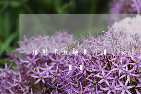 信用卡逾期銀行說(shuō)申請(qǐng)資產(chǎn)保全-信用卡逾期銀行說(shuō)申請(qǐng)資產(chǎn)保全是真的嗎