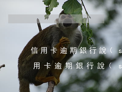 信用卡逾期銀行說(shuō)要去公司(信用卡逾期銀行說(shuō)要去公司)