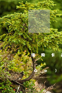 信用卡逾期銀行說(shuō)要提報(bào)開(kāi)庭審理-銀行對(duì)信用卡逾期起訴流程