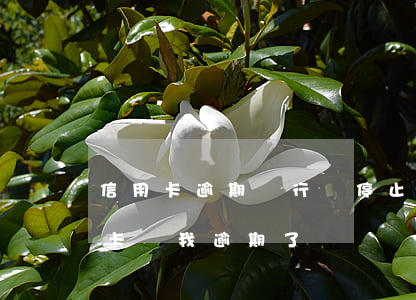 信用卡逾期銀行說停止還款(為什么還了信用卡,說我逾期了)