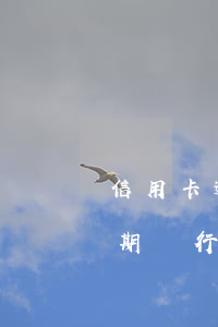 信用卡逾期銀行說到派出所備案-信用卡逾期銀行說到派出所備案是真的嗎