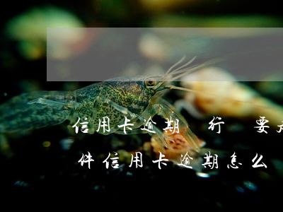 信用卡逾期銀行說要走刑事案件-因刑事案件信用卡逾期怎么辦