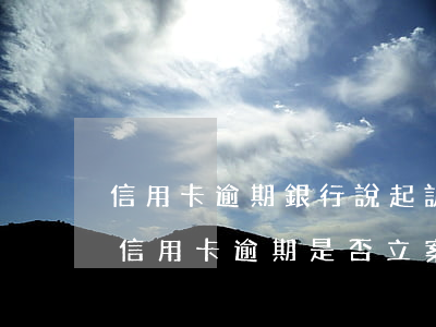 信用卡逾期銀行說起訴我怎么查詢-怎么查信用卡逾期是否立案了