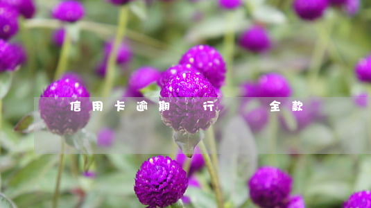 信用卡逾期銀行說還全款
