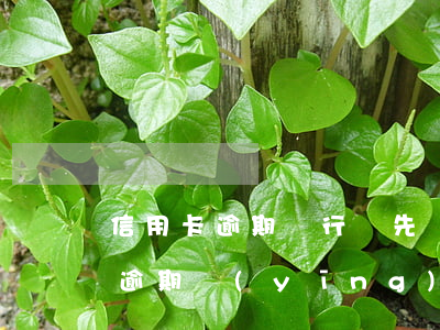 信用卡逾期銀行讓先還一部分 有多張信用卡逾期,應(yīng)該先還小額還是大額