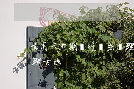信用卡逾期銀行讓去處理(信用卡逾期怎么處理方法)