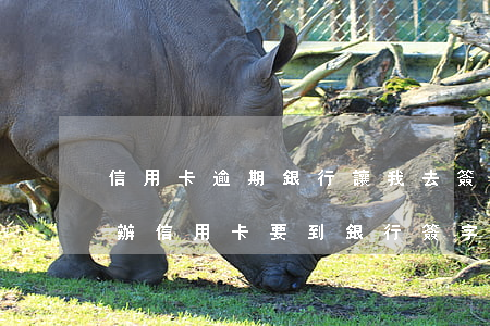 信用卡逾期銀行讓我去簽字辦手續(xù)(辦信用卡要到銀行簽字確認(rèn))