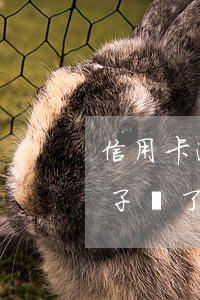 信用卡逾期銀行讓我賣房子(我是不是該把房子賣了還信用卡)