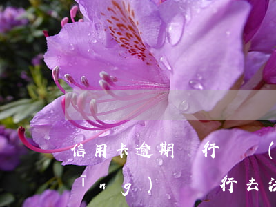 信用卡逾期銀行讓準(zhǔn)備應(yīng)訴(銀行去法院起訴信用卡逾期怎么辦)