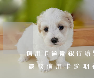 信用卡逾期銀行讓緊急聯(lián)系人還款(信用卡逾期銀行讓緊急聯(lián)系人還款怎么辦)