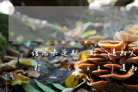信用卡逾期銀行讓通知父母(是信用卡逾期了 打電話(huà)通知提醒他們的)