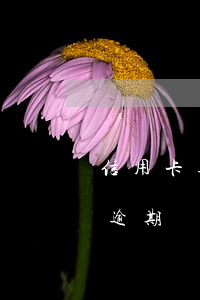 信用卡逾期銀行讓還一期(好幾個銀行信用卡逾期)