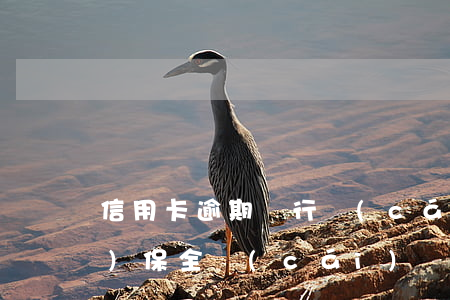 信用卡逾期銀行財(cái)產(chǎn)保全(財(cái)產(chǎn)保全能凍結(jié)信用卡嗎)