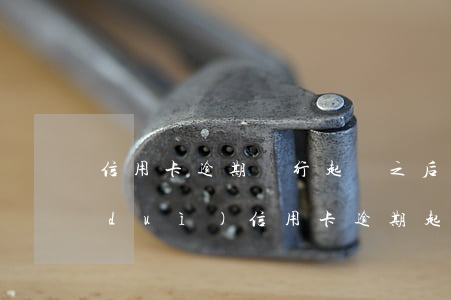 信用卡逾期銀行起訴之后怎么處理(銀行對(duì)信用卡逾期起訴流程)