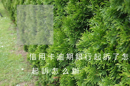 信用卡逾期銀行起訴了怎么辦(信用卡逾期要起訴怎么辦)