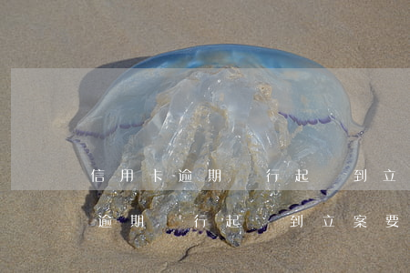 信用卡逾期銀行起訴到立案要多久-信用卡逾期銀行起訴到立案要多久才能開庭