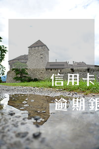 信用卡逾期銀行起訴后公安局立案-信用卡逾期銀行起訴后公安局立案嗎