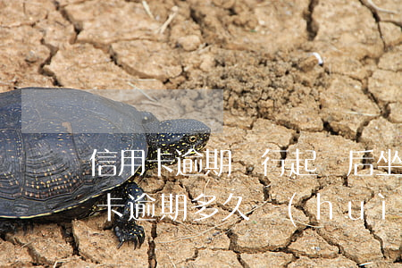 信用卡逾期銀行起訴后坐牢出來(欠銀行信用卡逾期多久會(huì)被起訴)