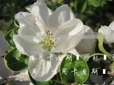信用卡逾期銀行起訴后還可以協(xié)商-信用卡逾期銀行起訴后還可以協(xié)商還款嗎