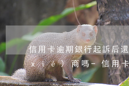 信用卡逾期銀行起訴后還會(huì)協(xié)商嗎-信用卡逾期銀行起訴后還會(huì)協(xié)商嗎
