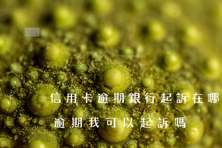 信用卡逾期銀行起訴在哪起訴(朋友用信用卡逾期,我可以起訴嗎)