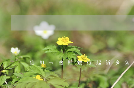 信用卡逾期銀行起訴多久可以受理