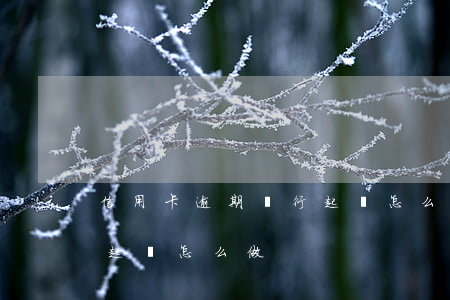 信用卡逾期銀行起訴怎么做(信用卡逾期銀行起訴怎么做)