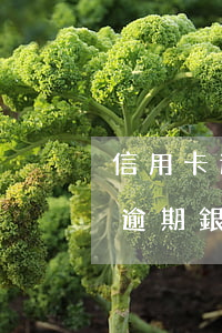 信用卡逾期銀行起訴找不到人咋辦-信用卡逾期銀行起訴找不到人咋辦理