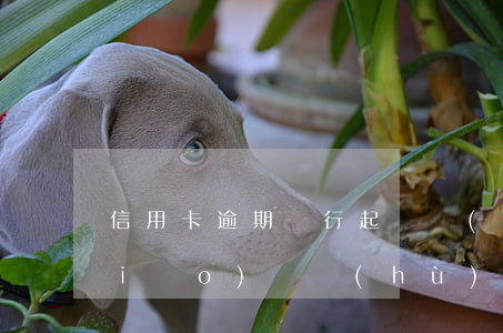 信用卡逾期銀行起訴會(huì)注銷(xiāo)帳戶(hù)嗎-信用卡逾期銀行起訴會(huì)注銷(xiāo)帳戶(hù)嗎知乎