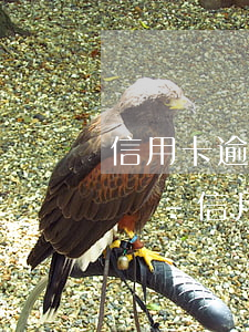 信用卡逾期銀行起訴法院會(huì)怎么樣-信用卡逾期銀行起訴法院會(huì)怎么樣處理