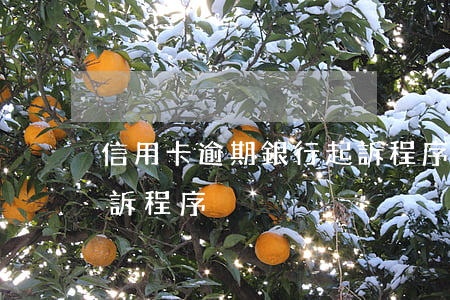 信用卡逾期銀行起訴程序(信用卡逾期銀行起訴程序)
