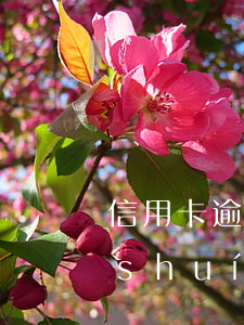 信用卡逾期銀行起訴起訴費(fèi)誰(shuí)承擔(dān)-信用卡逾期銀行起訴起訴費(fèi)誰(shuí)承擔(dān)呢