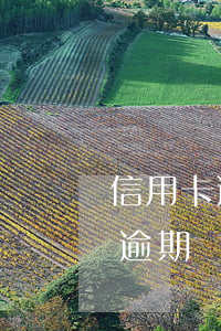 信用卡逾期銀行起訴都是什么理由-信用卡逾期銀行起訴都是什么理由呢