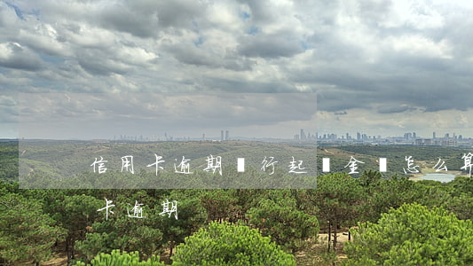 信用卡逾期銀行起訴金額怎么算(怎樣算信用卡逾期)