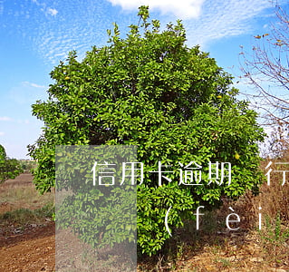 信用卡逾期銀行起訴需要承擔(dān)律師費(fèi)訴訟費(fèi)(訴訟費(fèi)能用信用卡嗎)