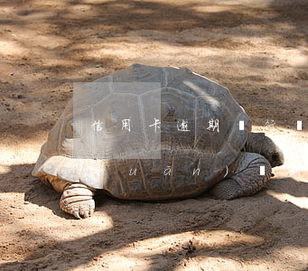 信用卡逾期銀行轉(zhuǎn)賬(轉(zhuǎn)賬到過期信用卡)