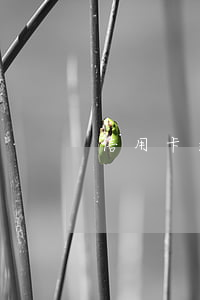 信用卡逾期銀行追債辦法