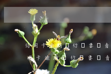 信用卡逾期銀行還要錄音結(jié)案(信用卡逾期銀行還要錄音結(jié)案)