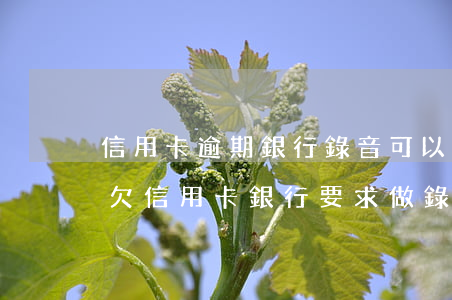 信用卡逾期銀行錄音可以做證據(jù)嗎 欠信用卡銀行要求做錄音