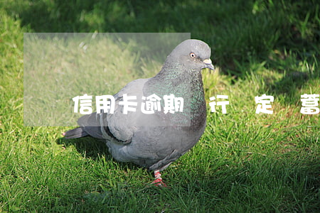 信用卡逾期銀行鎖定儲蓄卡合法-信用卡 被鎖