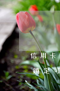 信用卡逾期銀行鎖定儲蓄卡(有逾期銀行卡被鎖定可以去解鎖嗎?)