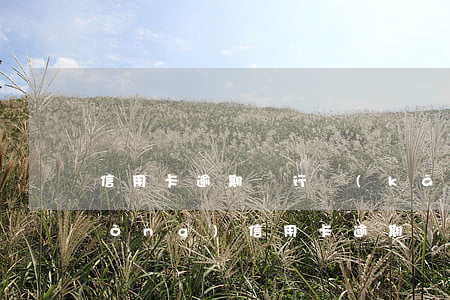 信用卡逾期銀行開(kāi)始大行動(dòng)(信用卡逾期銀行開(kāi)始大行動(dòng))